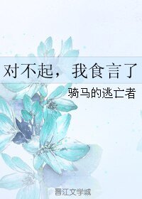 对不起，我食言了